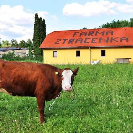 Farma Ztracenka Hotel Porici nad Sazavou Exterior foto