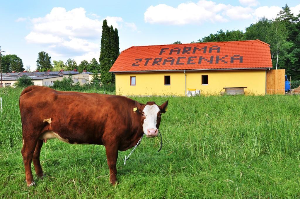 Farma Ztracenka Hotel Porici nad Sazavou Exterior foto