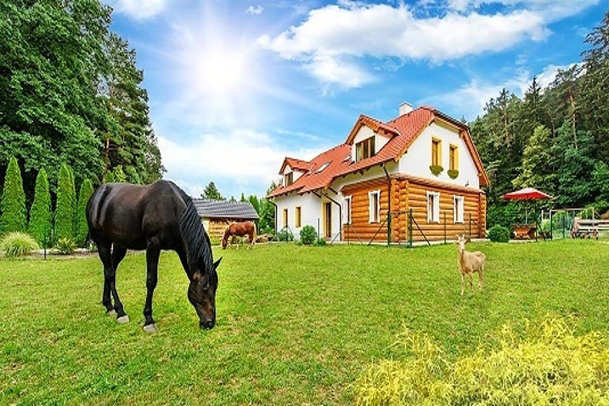 Farma Ztracenka Hotel Porici nad Sazavou Exterior foto